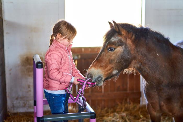 Girl with a horse