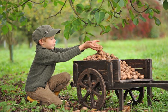 Boy with a cart