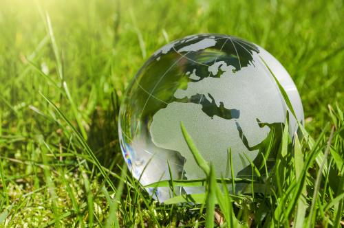 Globe lying in the grass