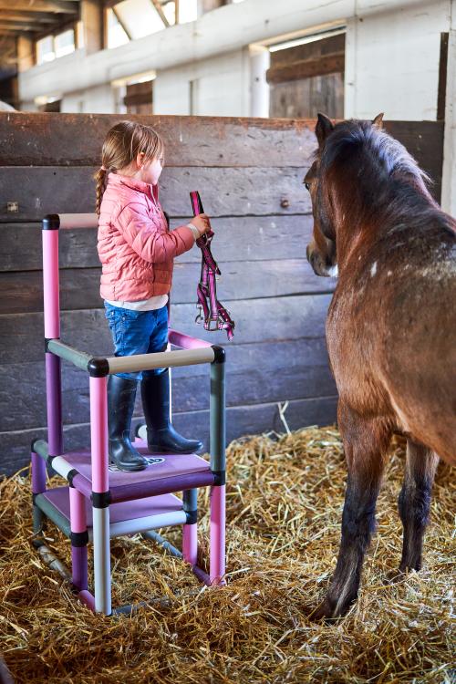 Girl with horse