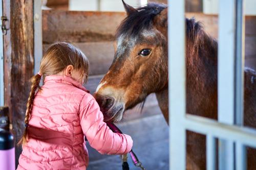 Girl with a horse