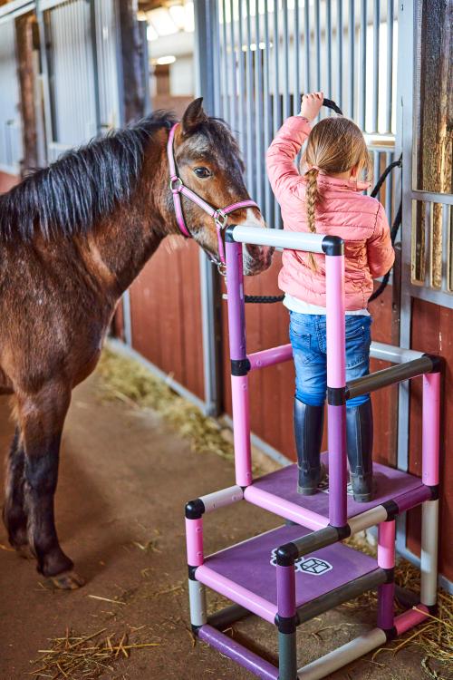 Girl with horse