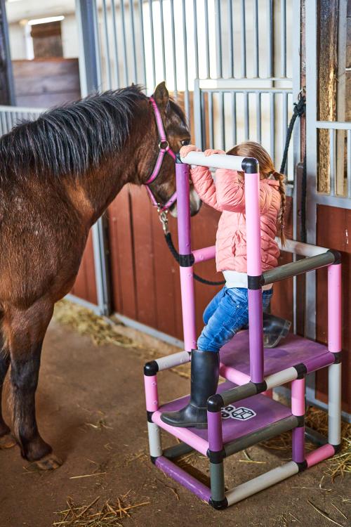 Girl with horse