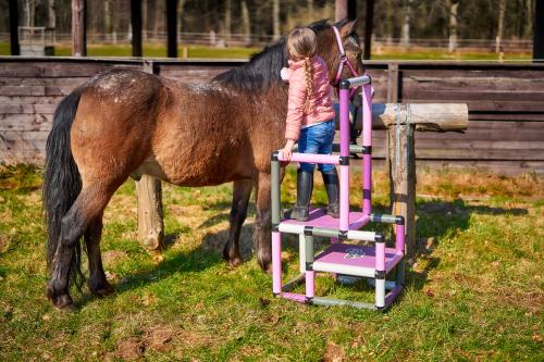 Girl with a horse