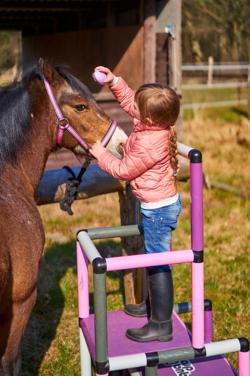 Girl with horse