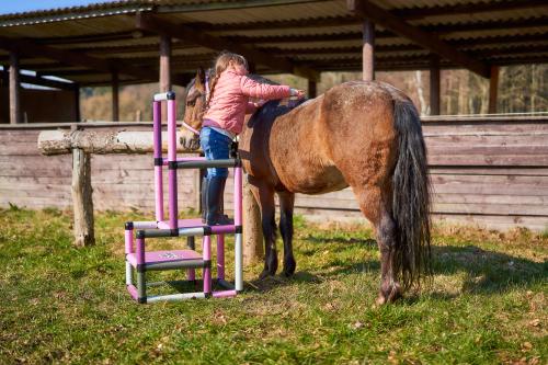 Girl with a horse